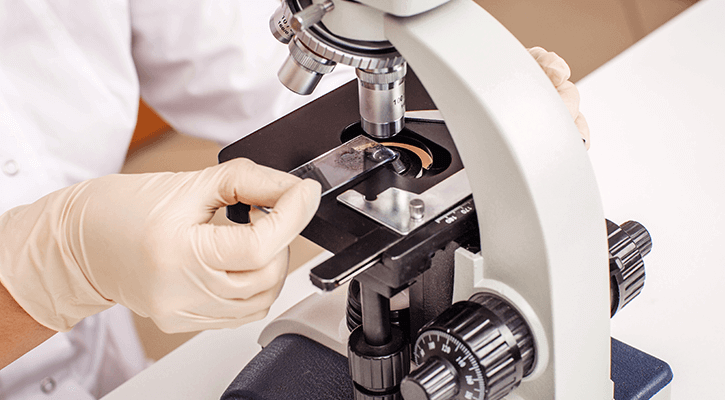 verterinary lab microscope